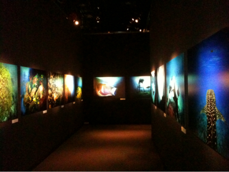 20110820-yasuaki_kagii_cache_1.jpg