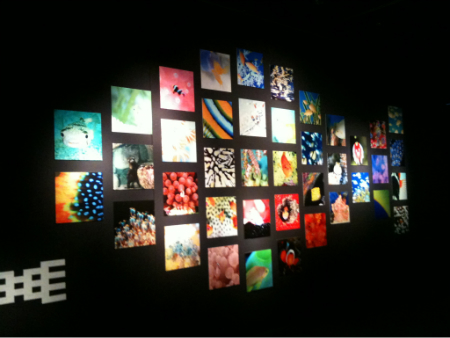 20110820-yasuaki_kagii_cache_3.jpg